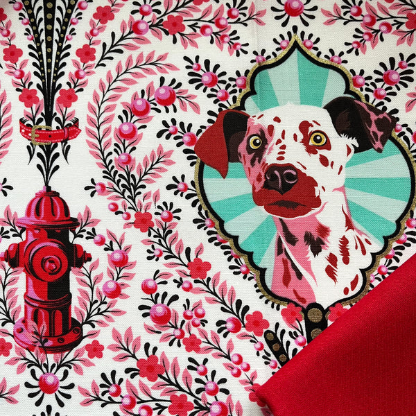 Half Metre Heaven: Tula Pink | Besties 'Puppy Dog Eyes' Blossom PWTP213.BLOSSOM with Cardinal CTO