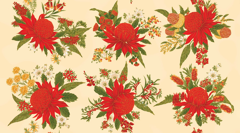 Leesa Chandler | Under The Australian Sun 'Large Waratahs' Orange Cream 0024 8: by the 60cm increment