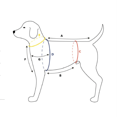 INSTRUCTIONS: Natasha's Guide to Making Your Own Dog / Pet Coat: DIGITAL DOWNLOAD