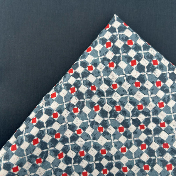PERFECT PAIRING: 1/2m Art Gallery Fabrics 'limpronta di Giotto (Giotto's Footprint)' + 1/2m Waxed Cotton in Blue Pewter