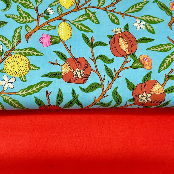 PERFECT PAIRING: 1/2m Duo: Kaffe Fassett x Morris & Co 'Fruit' PWKW010 Duck Egg + Hot Tomato Plain