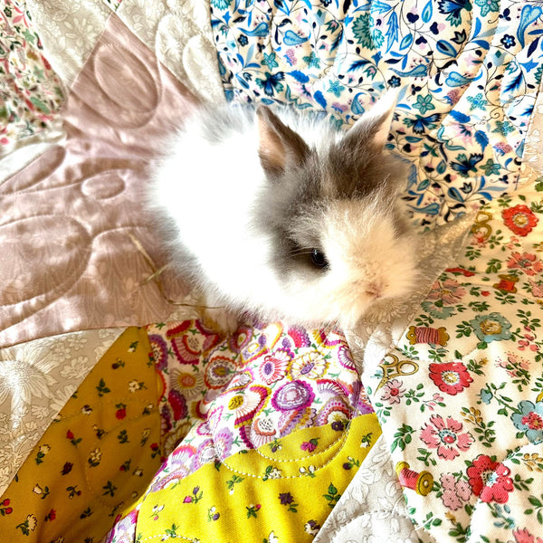 INSTRUCTIONS: Tipsy Quilt: PRINTED VERSION