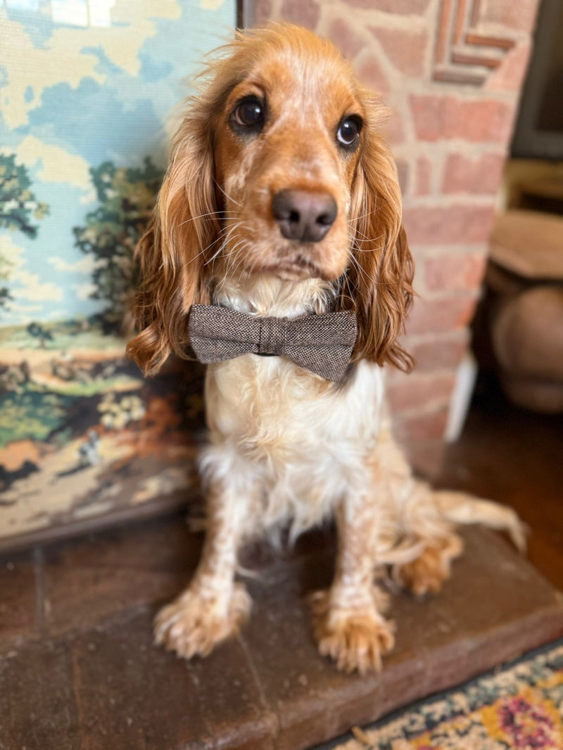 READY MADE: One Bow Tie & TWO Pocket Squares Set: CLASSIC Brown