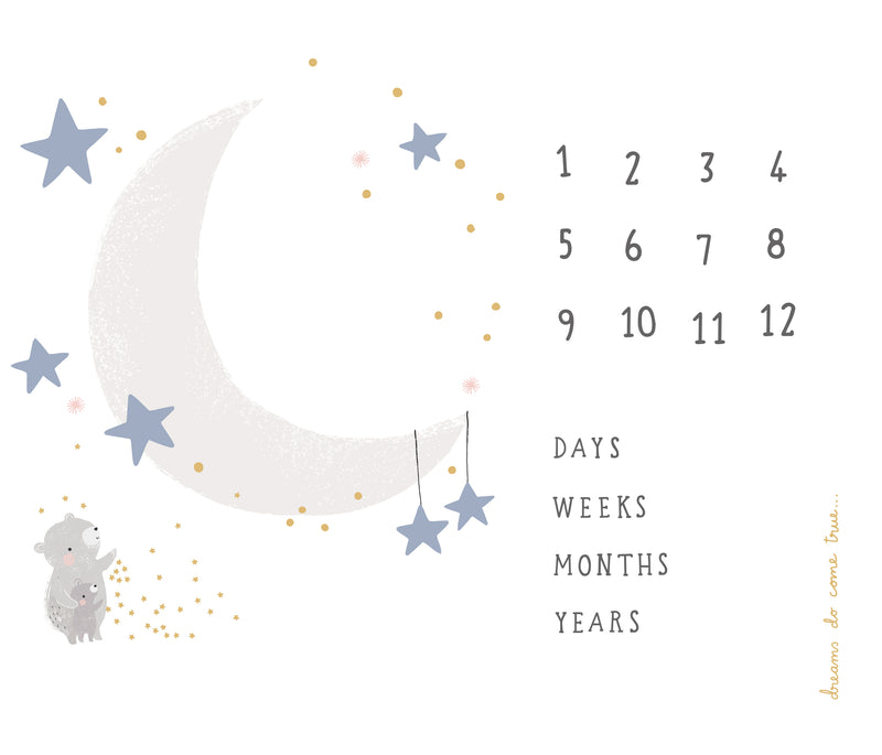 Moda | D is for Dream by Paper and Cloth: 36" x 44" 'Dreamy Milestone Blanket' 25129 11CV Precut Panel