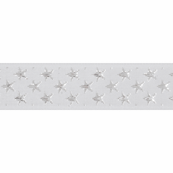 RIBBON: Galaxy: 5m x 25mm - White / Silver