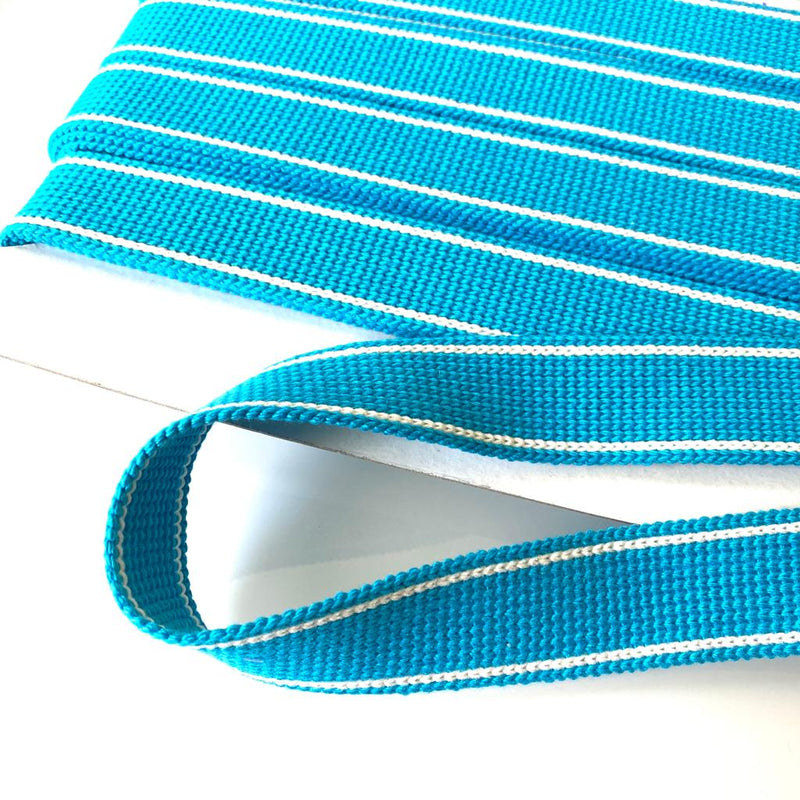 Webbing: 3cm Wide: by the METRE: Light Turquoise